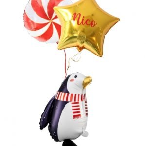 Pingüino con Caramelo y Estrella Personalizada